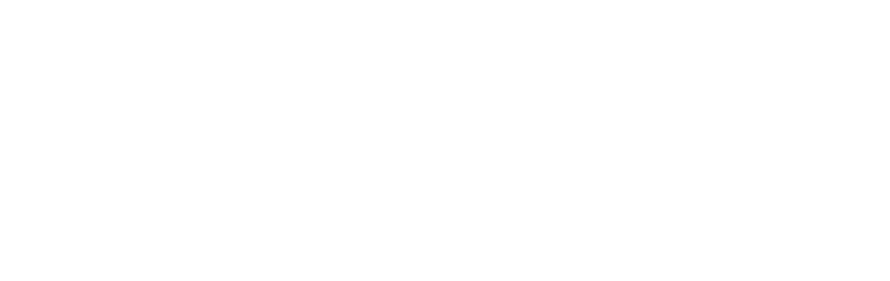 NUSO Logo White 1000px